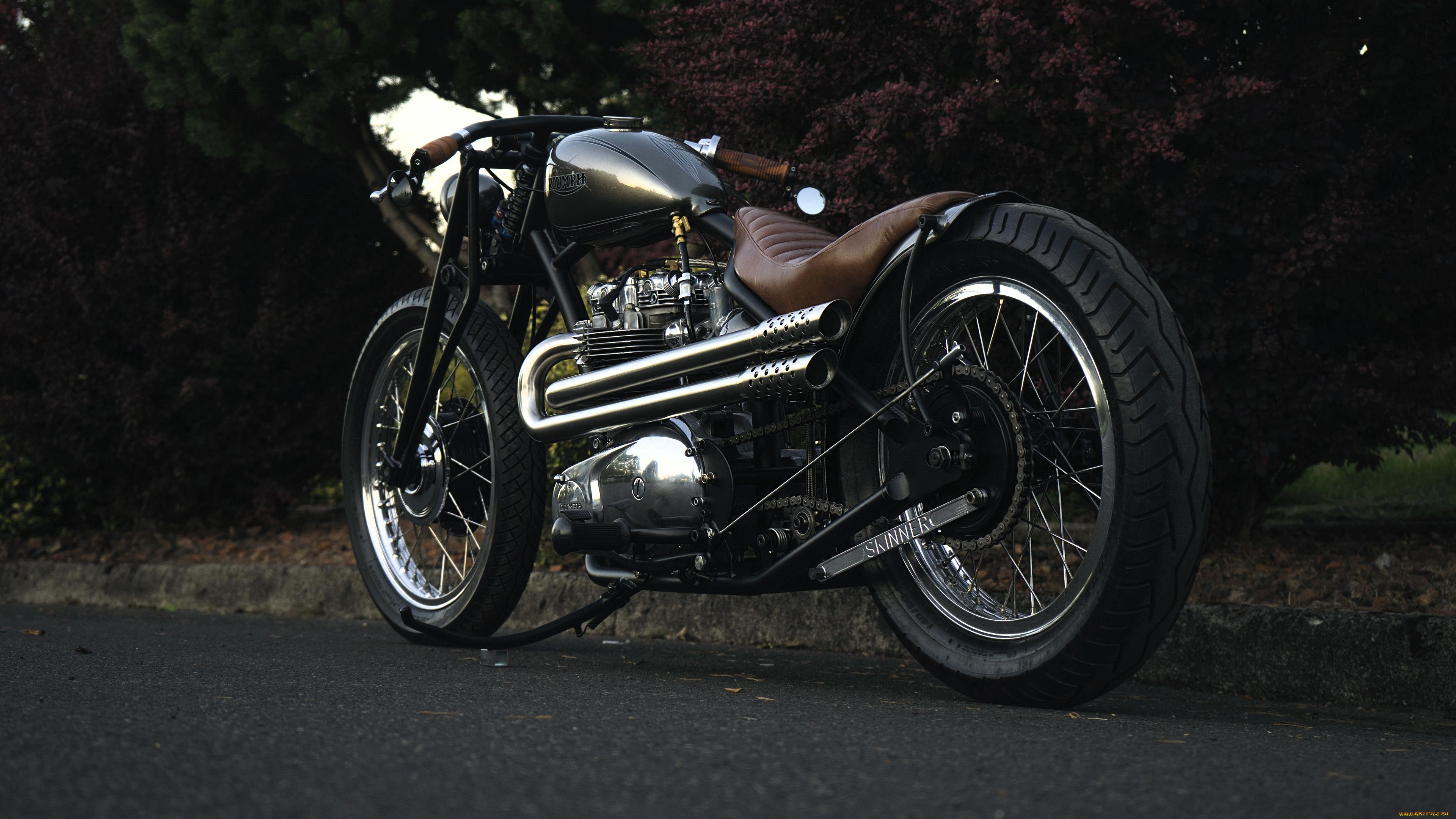, triumph, , , 